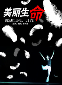中文字幕一区在线观看视频