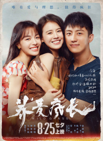 tube8在线视频